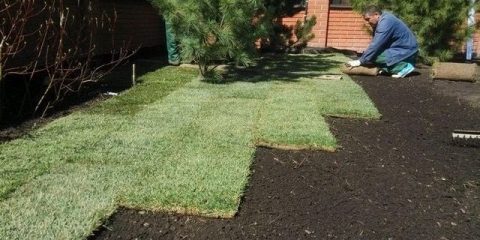 Postavljanje travnjaka: kada je bolje postaviti